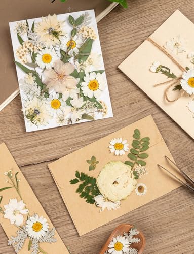 100pcs White and Light Yellow Dried Pressed Flowers Bulk, Natural Fall Pressed Dried Flowers with Tweezer for DIY Crafts Resin Mold Candles Cake Bridal Scrapbooking Supplies - size: White Flower 100pcs