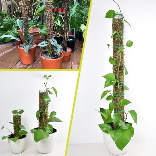 6 Pack Metal Moss Pole, 15" Moss Poles for Plants Monstera, Stackable Sphagnum Moss Pole for Climbing Plants (6 Pack 15") - color: 6 Pack 15"