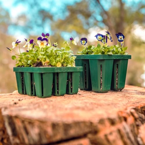 Vego garden Jumbo Seedling Trays Without Lids, 64 Pack Reusable Propagator Growing Starter Tray for Larger Plants, Heavy-Duty Plastic Germination Trays (4-Cell per Tray) - size: 64 Packs, style: 4 Cells Jumbo Size