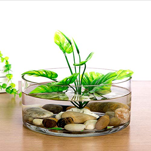 WGV Cylinder Vase, Open Width 12", Height 4", Clear Flat Pan Style Container, Planter Terrarium, Floral Centerpiece for Wedding Party Event, Home Office Decor, 1 Piece - size: 12"x4"H