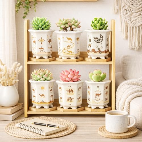 3.3 Inch Small Succulent Pots with Drainage and Bamboo Tray Set of 6 - color: Mid-e-hexagon-tall