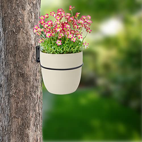6 Pack 8 Inch Wall Flower Pot Holder Ring Plant Hanger, Metal Planter Hooks Wall Mounted Bracket Heavy Duty for Outdoor Indoor - size: 8 inch-6 Pack
