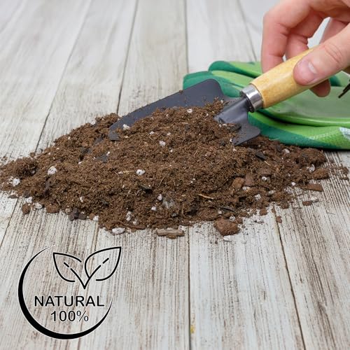 Soil Sunrise Anthurium Plant Potting Soil Mix (4 Quarts) Indoor Houseplant Custom Blend for Flowering Anthuriums - size: 4 Quarts