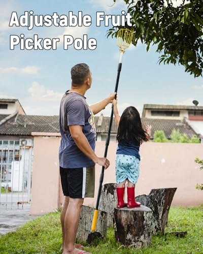 13.5FT Fruit Picker with Basket, Apple Picking Tool 35–161" Adjustable Pole, Long-Handle Mango Grabber, Tree Fruit Catcher for Harvesting Lemon Pear Orange Avocado Peach Citrus Grapefruit - size: 13.5FT