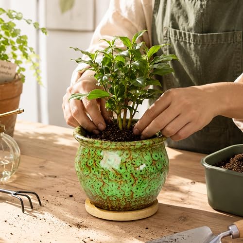 4.5 Inch Plant Pots, Small Pots for Plant Indoor, Succulent Pots with Tray - color: Green