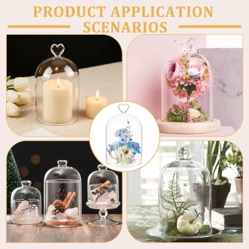 BENECREAT 4.7x7.5inch Glass Cloche, Dome Bell Jar Display Case for Plants, Figurines, Trinkets, LED Lights and Candles - size: 4.7x7.5inch