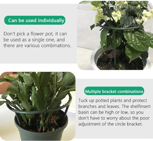 Mwellewm Plant Stakes Small Plant Supports for Indoor Plants Holder Sticks - size: 5.7 x 9.8inch 20Pcs