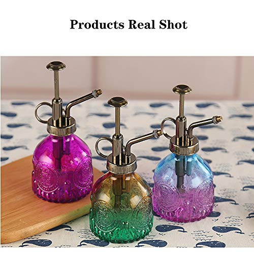 Plant Mister Glass Spray Bottle Small Plant Watering Can 6.4" Tall Retro Indoor Watering Can Bronze Plastic Top Pump for Garden Indoor Plant Sprayer (Brown) - color: Brown