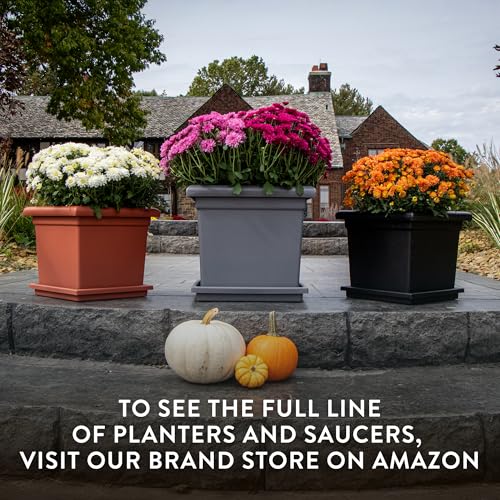The HC Companies Accent Square Plant Pot, 11 Inch, Black, 2-Pack - color: Black, size: 11" (Pack of 2)