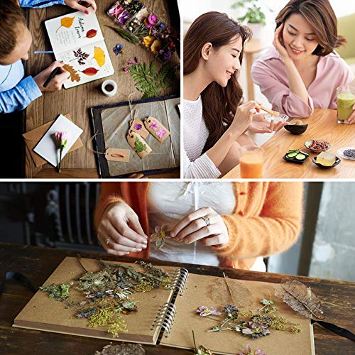 16 Bags Dried Flowers,100% Natural Dried Flowers Herbs Kit for Soap Making, DIY Candle Making,Bath - Include Rose Petals,Lavender,Don't Forget Me,Lilium,Jasmine,Rosebudsand More - color: 16 Bags*10g