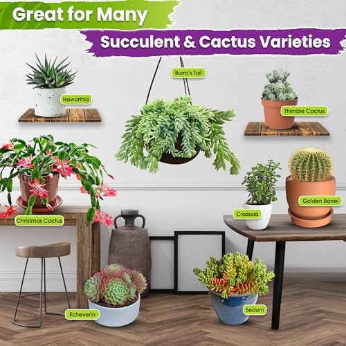 DUSPRO 7-in-1 Succulents & Cactus Soil Mix, Pre-Mixed & Ready to Use, 1 QT | Well-Draining Cactus Potting Soil for Succulents and Cacti, Indoor & Outdoor Use, Airflow, Balanced Moisture & Airy Texture - size: 1 Quart