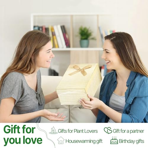 Plant Propagation Stations Heart Plant Terrarium Kit - color: Color02