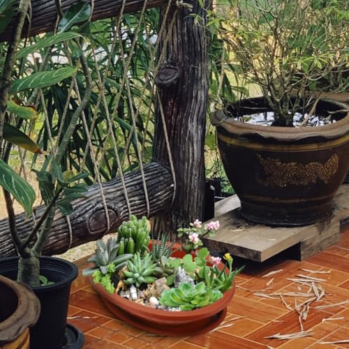 DOITOOL Bonsai Training Pots with Drainage Tray, 17 Inch Oval Bonsai Planter Pot Plastic Plants Growing Tree s Flower for Indoor Outdoor Garden Yard - 17.3 x 13.3 x 4.1 inch