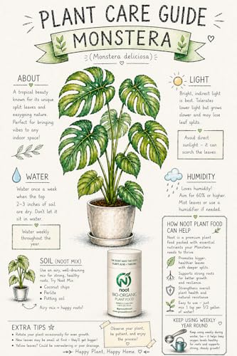 Noot 'Keep House Plants Alive' Bio-Organic Plant Food Liquid Fertilizer, Makes 3.5 Gallons, Root Boosting Mycorrhizae, Fast Growth for Monstera, Aroid, Succulent, Orchid - Use Every Watering (1 Vial) - size: Noot Plant Food (Makes 3.5 Gallons)
