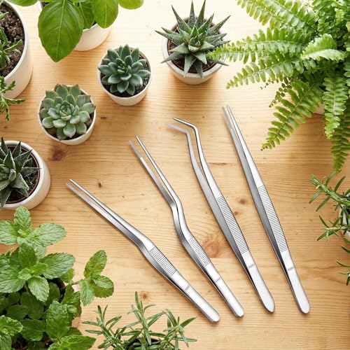 4Pcs Stainless Steel Tweezers Set for Small Garden Kitchen