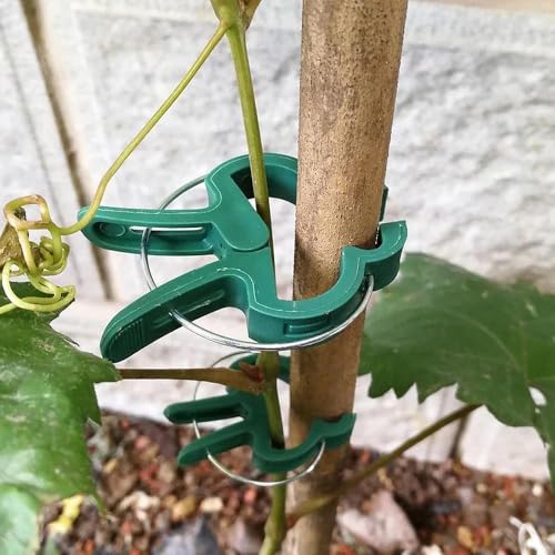 50/30/10Pcs Adjustable Plant Clips, Reusable Garden Plant Support Clips for Flowers Vines Vegetables Tomatoes, Durable Plastic Garden, Essential Gardening Tools(10 Pcs) - color: 10 Pcs