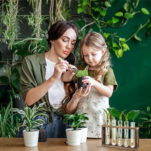 15 Pcs Clear Test Tubes for Plant Propagation Station, Acrylic Test Tubes for Scientific Experiments,20 ml Round Bottom Test Tubes for Hydroponic Flowers Home Office -0.78" Diameter