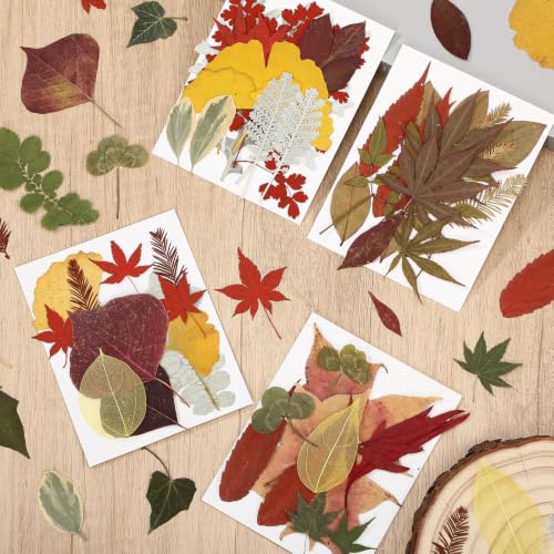 Timtin 84 Pcs Dried Pressed Leaves Flowers for Resin, Fresh - color: Red