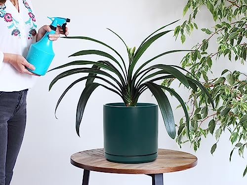 D'vine Dev 8 Inch Ceramic Planter Pot, Teal, 94-O-D-9 - color: Teal, size: Medium