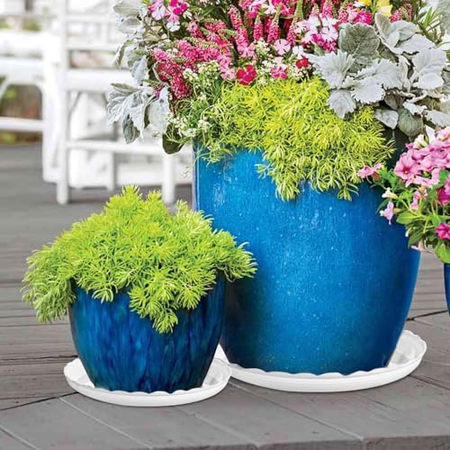 15 Pcs Plastic White Round Wave Plant Saucer,6 Inch/8 Inch/10 Inch,Durable Duty Flower Plant Pot Drip Tray Container for Home Garden Indoor and Out Door Plant - color: White