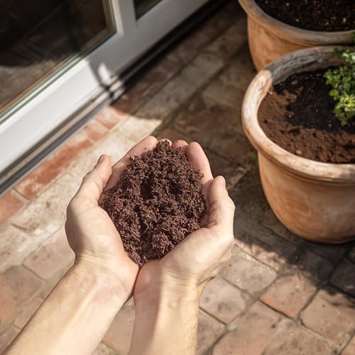 Coconut Coir Potting Soil for Indoor Plants - Expands to 5 Quart (11 lb) | Bonsai Soil Discs Perfect for General Houseplants, Herbs, and Bonsai Trees - Expands with Water - size: 5 Quart