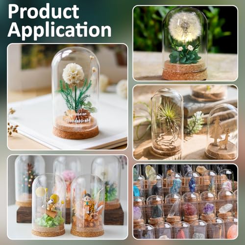 BENECREAT 2 Pcs Glass Display Cloche, 2.8x5.1 inches Bell Jar Dome with Cork Base, Display Dome Glass for Flower, Plant, Miniature and Craft, Home Decoration, ID: 2.6 inches - size: 2.8x5.1 Inch