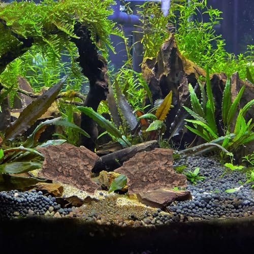 Abaodam 10Pcs Reptile Tree Bark Hides, Natural Cork Bark Terrarium Decor
