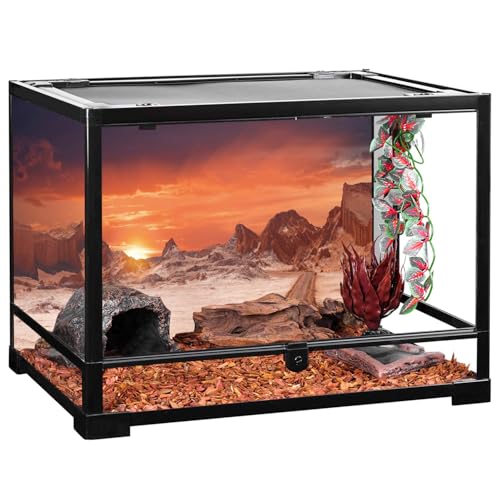 AWERT 60x24 inches Sun and Desert Terrarium Background Orange Reptile Habitat Background Durable Polyester Background - size: 60x24in/150x60cm