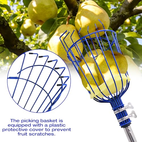Fruit Picker Tool with Basket, 35-72 Inch Adjustable Long Handle Fruit Picking Pole - for Harvesting Lemon Avocado Apple Mango Pear Orange & Tall Tree Fruits