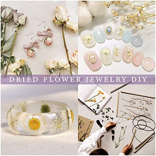 20 Bags Dried Flowers,100% Natural Dried Flowers Herbs Kit for Soap Making, DIY Candle Making,Bath - Include Rose Petals,Lavender,Don't Forget Me,Lilium,Jasmine,Rosebudsand More - color: 20 Bags*10g