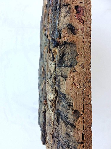 Jelinek Cork Natural Bark Wall Tile 12 x 12 Inch