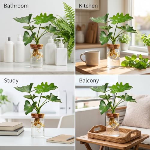 Propagation Stations, Desktop Plant Terrarium Glass Hydroponic Vases, Water Plant Jars, Gardening Gifts for Women Mom Plant Lovers, for Hydroponics Home Garden Office Decoration