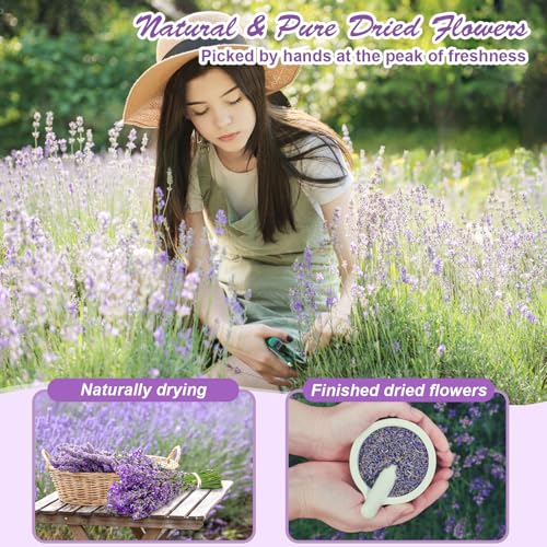 Dried Herbs and Flowers for Candle Soap Making, Lavender Rose for DIY Craft - size: 16