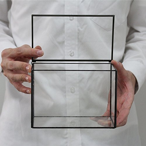 NCYP Small Glass Terrarium Planter with Lid, 6.7 x 4 x 4.8 Inch, Black | Tabletop Closed Terrarium Container for Succulents, Air Plants, Fern, Moss - Rectangle Clear Glass Display Box (No Plants)