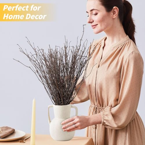 30Pcs Real Dried Birch Twigs - 16” Decorative 100% Natural Birch Branches - size: 30