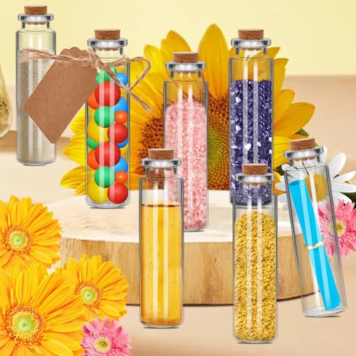 6Pcs 20ML 0.86"X3.15" Small Glass Mini Jars with Cork Lids Message Bottle Terrarium Jar Tiny Wishing Bottles miniature Sand Art Bottles Sample for DIY Crafts (6, 20ML) - size: 0.7 Ounces