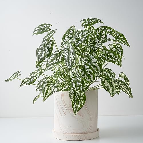 4 inch Plant Pot - Terra Cotta Flower Planters Indoor - Modern Succulents Containers with Drain Hole & Saucer, Decorate Home, Office (Pink) - size: 4 inch
