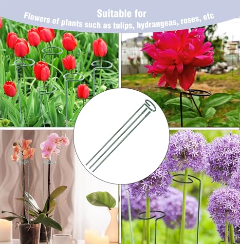 4.5mm Adjustable Length Plant Stake, Assembled (12 or 24 inch) Outdoor and Indoor Plant Support Poles for Flowers Marigolds Tomatoes Lilies Peonies Roses Daffodils Flower Clips (12 Sets, 36 Pcs) - size: 24 Inch