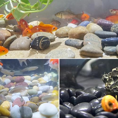 YISZM 20lbs Large River Rocks for Landscaping, 3-4" White Pebbles - color: White, size: 20 Pounds
