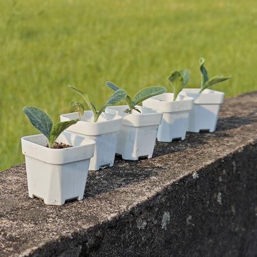 200 Pack 1.95 Inch Tiny White Plastic Square Nursery and Seedling Pot, Mini Transplant Seed Starter Planter with Drain Hole for Germination, Herb, Succulent - color: White, size: 1.95 inch