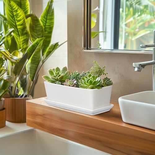 SQOWL Rectangular Planter - 10 Inch Ceramic Pots for Plants with Drainage Hole and Saucer, Succulent Pots for Indoor Outdoor, Cactus Herb Planter, Home Decor, Gifts for Plant Lovers, Glossy White