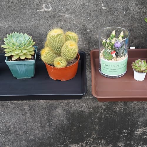 VUWEZ Plant Saucer Growing Tray, Seed Starter Tray Rectangular, Heavy Sturdy Plastic Plant Drainage Saucers, Plant Drip Trays for Pots, Seed Starter Growing Trays (11 x 9 inch, 2 Pack) - color: Black, size: 11'' x 9'' x 1.2'' (2 pack)