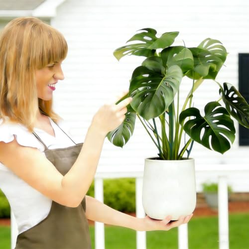 Stackable Plant Support for Home Gardening Indoor Outdoor, 5Pack | Pothos Climber Support Vine Plant Sticks Stakes with Plant Clips and Ties for Vine Orchid Tomato Ivy Philodendron