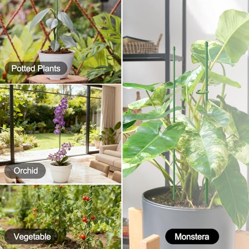 RIFNY Plant Stakes for Indoor Plants, 14 Inch Plant Support Stakes, 10 PCS | Tall Adjustable Garden Plant Sticks, with Clips for Indoor Monstera Tomato Orchid Potted Plants Flower, Green - size: 14IN 10PCS