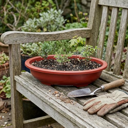 HOIGON 8 PCS 15 x 11 Inch Plastic Oval Bonsai Training Pots, Red Large Shallow Oval Planter Pot with Drainage Hole, Plant Nursery Pot for Succulent