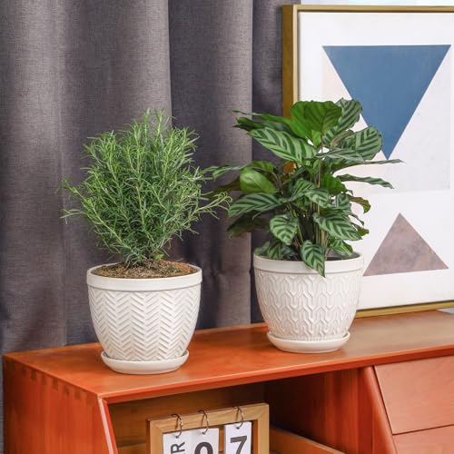 6.5 Inch Ceramic Plant Pots Set of 2, Glazed White Embossed - color: Glazed White, size: 6.5 inch