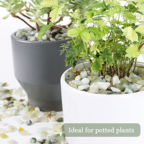 5lbs Natural River Rocks, Polished Pebbles for Plants Garden, 0.3-0.8 inch Decorative Jade Stones, Ideal for Fish Tank, Vases, Crafting, Home Decor and Garden Landscaping Rocks,Jade - size: 5 Pounds, style: Jade