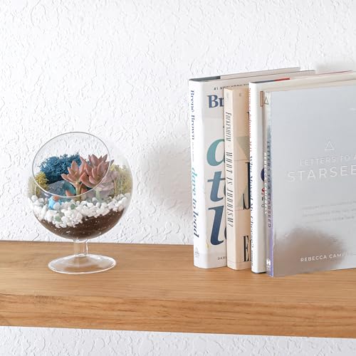 Creations by Nathalie DIY 6" Chalice Terrarium Kit Build Your Own Glass Terrarium for Adults & Teens, DIY Terrarium Kit with Live Moss, Crystals, Soil (Plant Not Included) - color: 6" Chalice