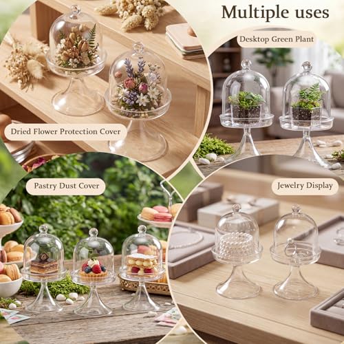 6 Pcs Mini Glass Cloche with Base Glass Display Dome & Acrylic Cube