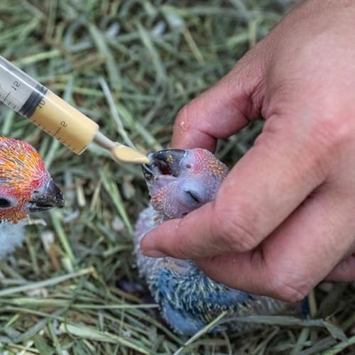 Baby Bird Feeding Syringe Set, Pet Parrot Milk Feeding Syringe with Tubes, Parrot Feeding Tubes Measuring Tools for Feeding Pets Scientific Industrial Labs… (12ml +20ml syringe+50ml Measuring Cup) - color: 12ml +20ml syringe+50ml Measuring Cup